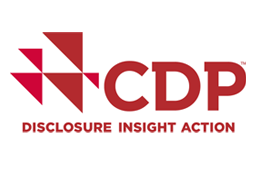 CDP DISCLOSURE INSIGHT ACTION